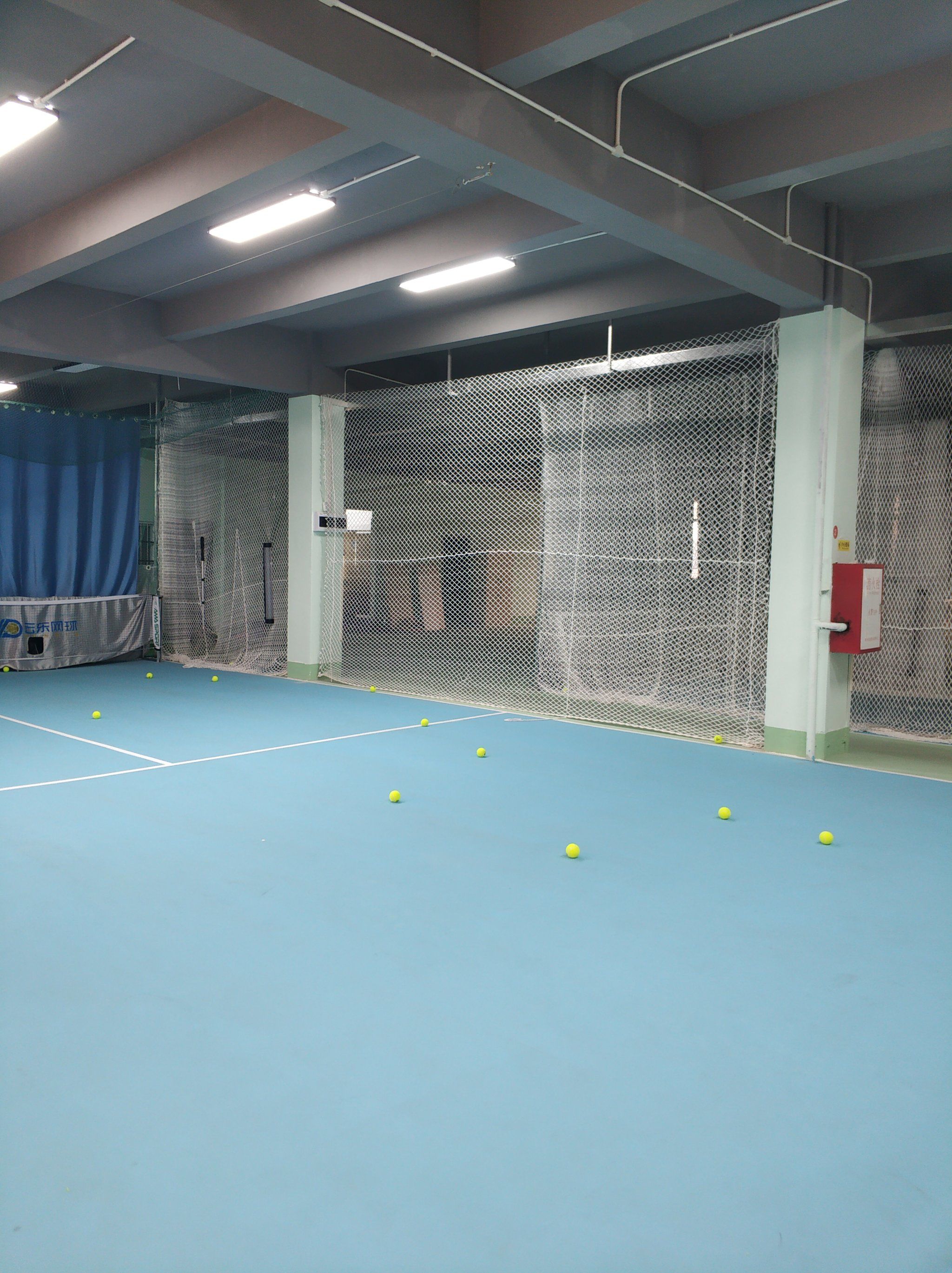 这一点也为 这一点也为