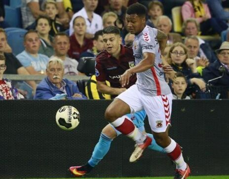 有广泛羽毛 有广泛羽毛